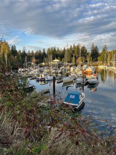 Seas The Day Saratoga at THE BEACH HOUSE - 2