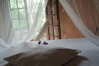 Casa Sustentável de Terra! - 3