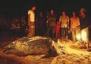 IZZUL IZZARA HOMESTAY PULAU SERAI,DUNGuN - 2