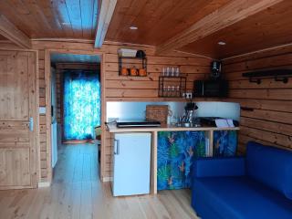 Séjour unique sur bateau grand confort à Digoin, 6 pers, terrasse, cuisine équipée - API-1-46-26 - Digoin - 8