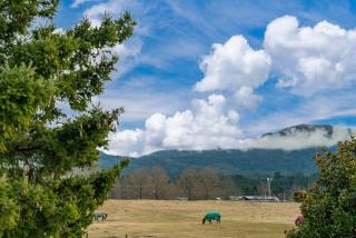 Riverside Haven - Turangi Holiday Home - Turangi - 0