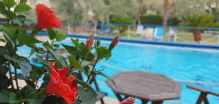 TSIGOURA VERDE RESORT - Mikros Prinos - 7