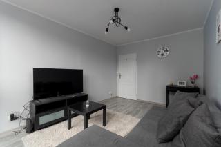 Krucza Standard Apartment - Breslavia - 8