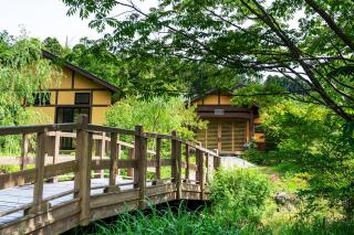 Tsuwabuki no Hana - Omura - 8