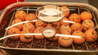 Holiday Inn - the niu, Leo Nuremberg by IHG - 0
