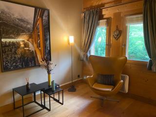 Chalet & Spa Alpaga - Manigod - 3
