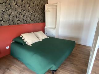 Appartement Pont Montaudran - Toulouse - 3