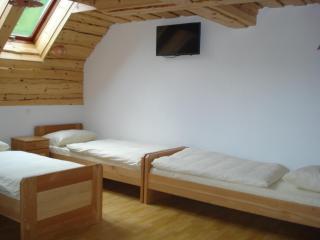 Farmstay Hiša Pečovnik - Luče - 4