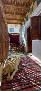 Second line studio - Dahab - 7