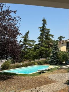 B&B Belvedere - Cassano delle Murge - 5