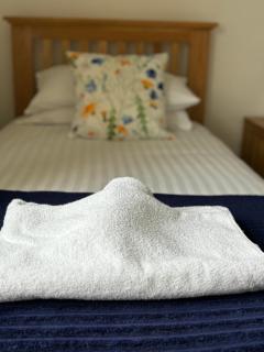 Sunrise Cottage with on-site swimming and sauna - Filey - 1