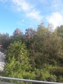 FEWO Wald&Meer - Cuxhaven - 4
