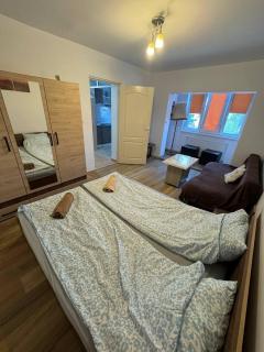Affordable apartment close to the castle - Hunedoara - 7