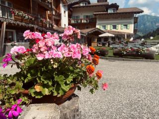 Hotel Valacia - Pozza di Fassa - 8