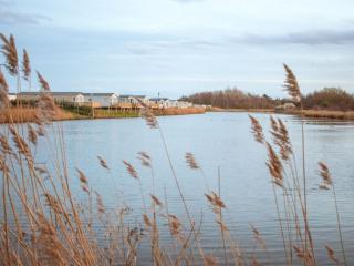 Pinewoods Saltmarsh Lodge sleeps 6 – no.1 - Wells next the Sea - 4