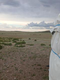 Jorga - Horses of nomads - 9