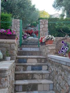 Apartments Sunčica - Mali Lošinj (Lussinpiccolo) - 9