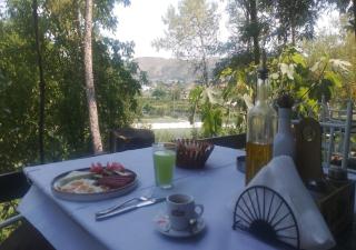 Hotel ANTONIA - Tirana - 1