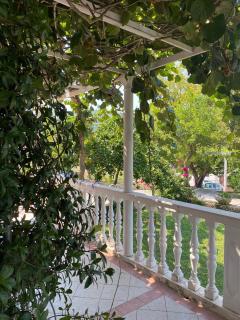 Guesthouse Oliva - Cavtat - 9