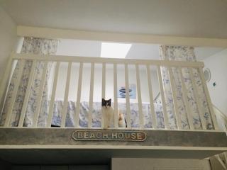 Chez Karine et Rodolphe - 1