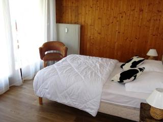 Charmant T2 lumineux pour 5 pers, 300m des commerces, avec balcon et box à skis - Les Gets - FR-1-802-81 - Les Gets - 3