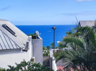 Le Nid Océanique ! Appart T2 avec Terrasse, Vue Mer et Parking Privé en Sous Sol, Proche du Centre Ville de Saint Gilles les Bains - Saint-Gilles-les-Bains - 1