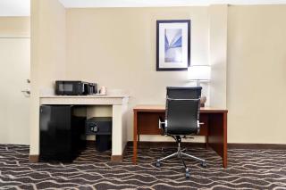 Comfort Suites Tampa Airport North - Tampa - 4