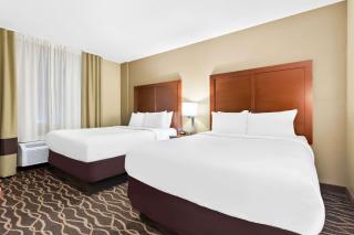 Comfort Suites Tampa Airport North - Tampa - 5