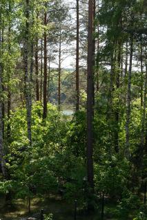 Szklany Dom nad Łąkami - 4
