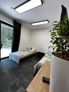 Modern Rancho - apartamenty nad rzeką, przy stadninie koni - 4