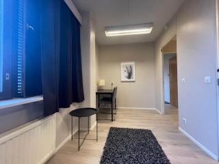 Scandinavian Dream Guesthouse and Apartments - 6