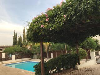 Vikki - Peyia - 8
