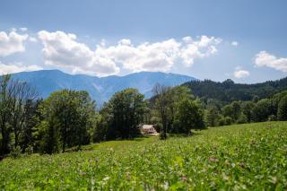 Ferienhaus Schlager in Puchberg am Schneeberg - 7