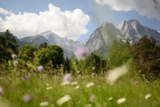 Peterhof Grainau - 5