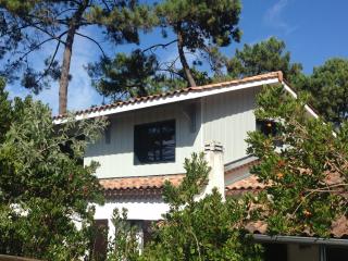 Chambre Privative, Cap Ferret - Piscine Chauffée - Villa Sylhengui - Lège-Cap-Ferret - 8