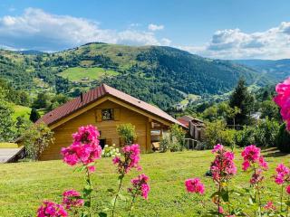 Chalet d'exception, spa et sauna, 4p - La Bresse - 9