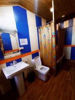 Merry Dawn houseboat - Srinagar - 4