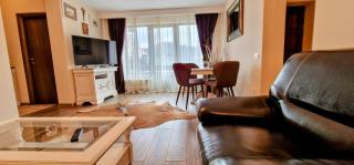 Snowflake Condo - Sinaia - 9