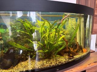 Fewo Thermenhafen Erding - 9