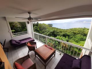 T2 vue mer - Trois îlets - Les Trois-Îlets - 9
