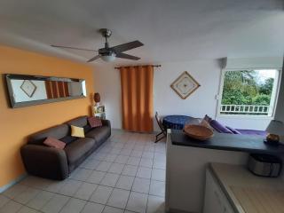 T2 vue mer - Trois îlets - Les Trois-Îlets - 7