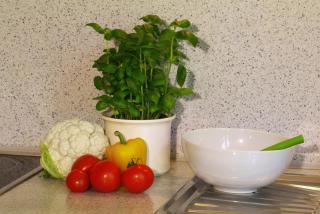 Ferienwohnung Refugium - Karlsbad - 1