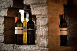 Weingut-Ferienwohnungen Kracher - Apetlon - 7
