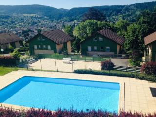 Duplex dans chalet avec superbe vue lac et piscine commune - Gérardmer - 8
