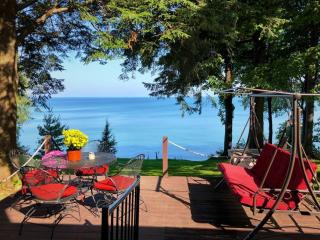 Pine Cottage Lakefront Hot Tub Fire Pit - Sodus - 4