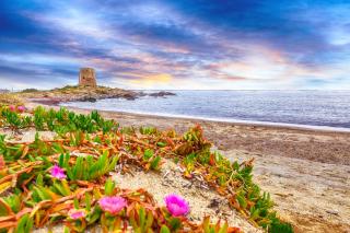 Le Corti Sarde Beach Apartments - Bari Sardo - 9