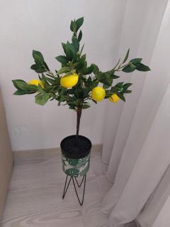 Cluj Zorilor Residence - 2