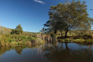 Thornybush, River Cottage - Plettenberg Bay - 3