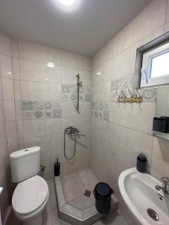 holiday bakuriani villa with 5 bedrooms - Bakuriani - 5