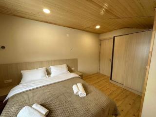 holiday bakuriani villa with 5 bedrooms - Bakouriani - 1